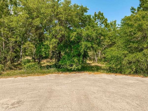 4 Acres of Residential Land for Sale in Panacea, Florida