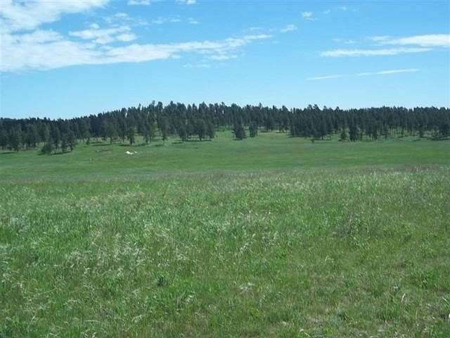 51.5 Acres of Recreational Land for Sale in Custer, South Dakota
