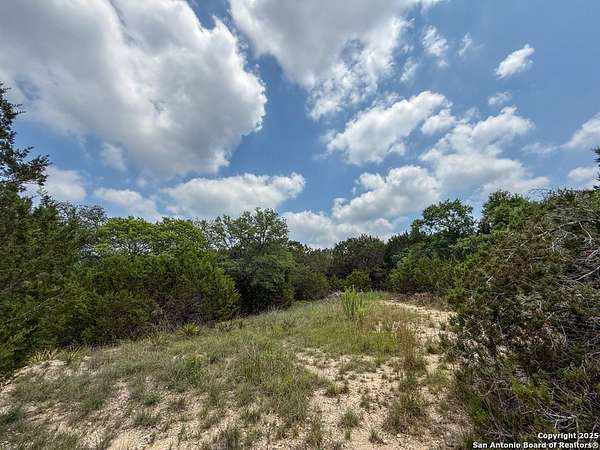 1 Acre of Residential Land for Sale in Canyon Lake, Texas