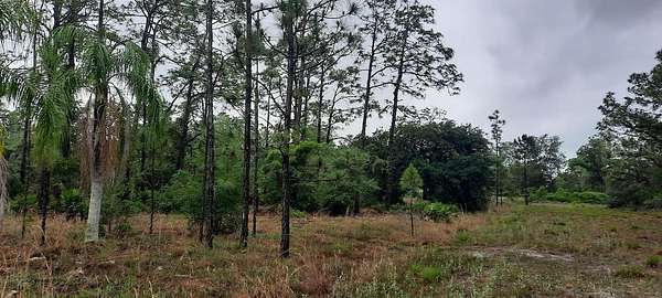 0.55 Acres of Residential Land for Sale in Indian Lake Estates, Florida