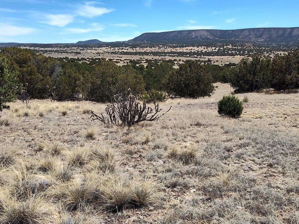 40.8 Acres of Land for Sale in Mountainair, New Mexico