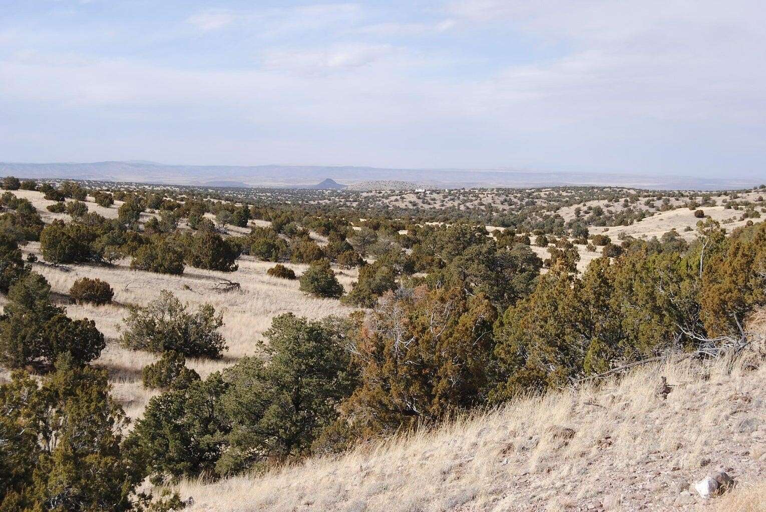 30 Acres of Land for Sale in Magdalena, New Mexico