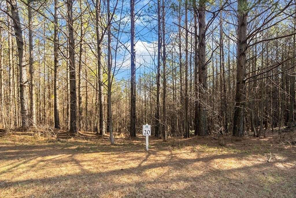 3 Acres of Residential Land for Sale in Ellijay, Georgia