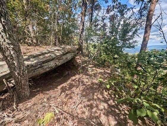 1 Acre of Residential Land for Sale in Dunlap, Tennessee