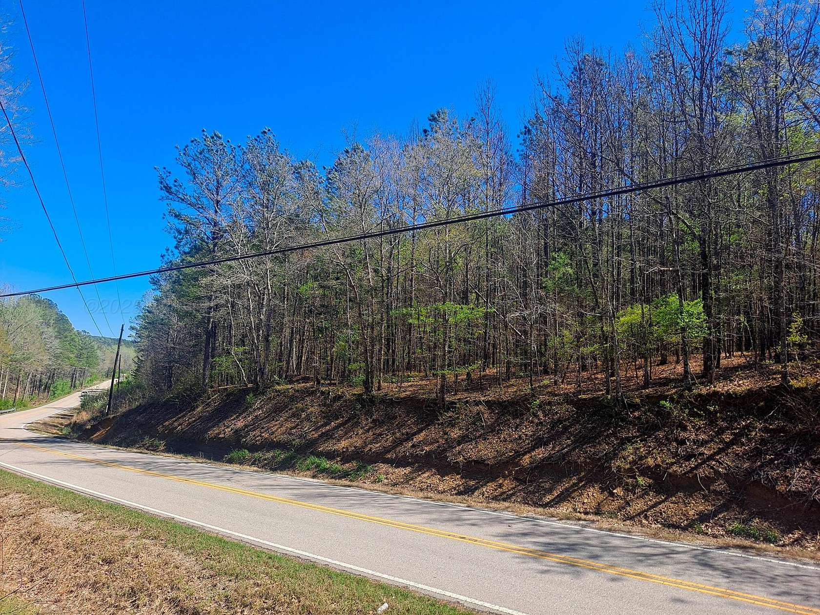 29 Acres of Recreational Land for Sale in Brilliant, Alabama