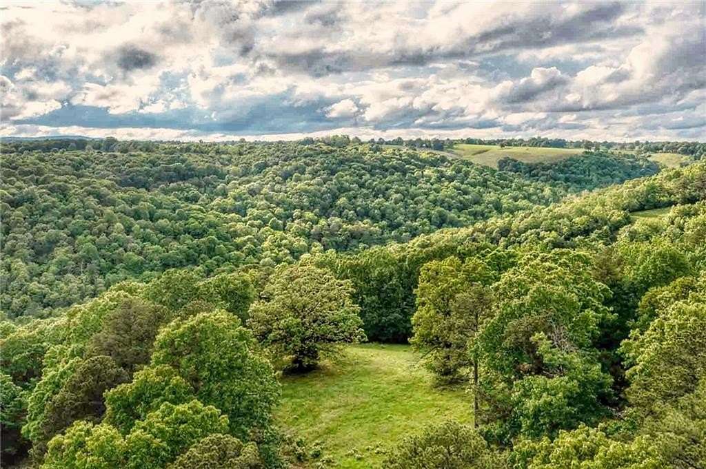 125 Acres of Recreational Land for Sale in Omaha, Arkansas