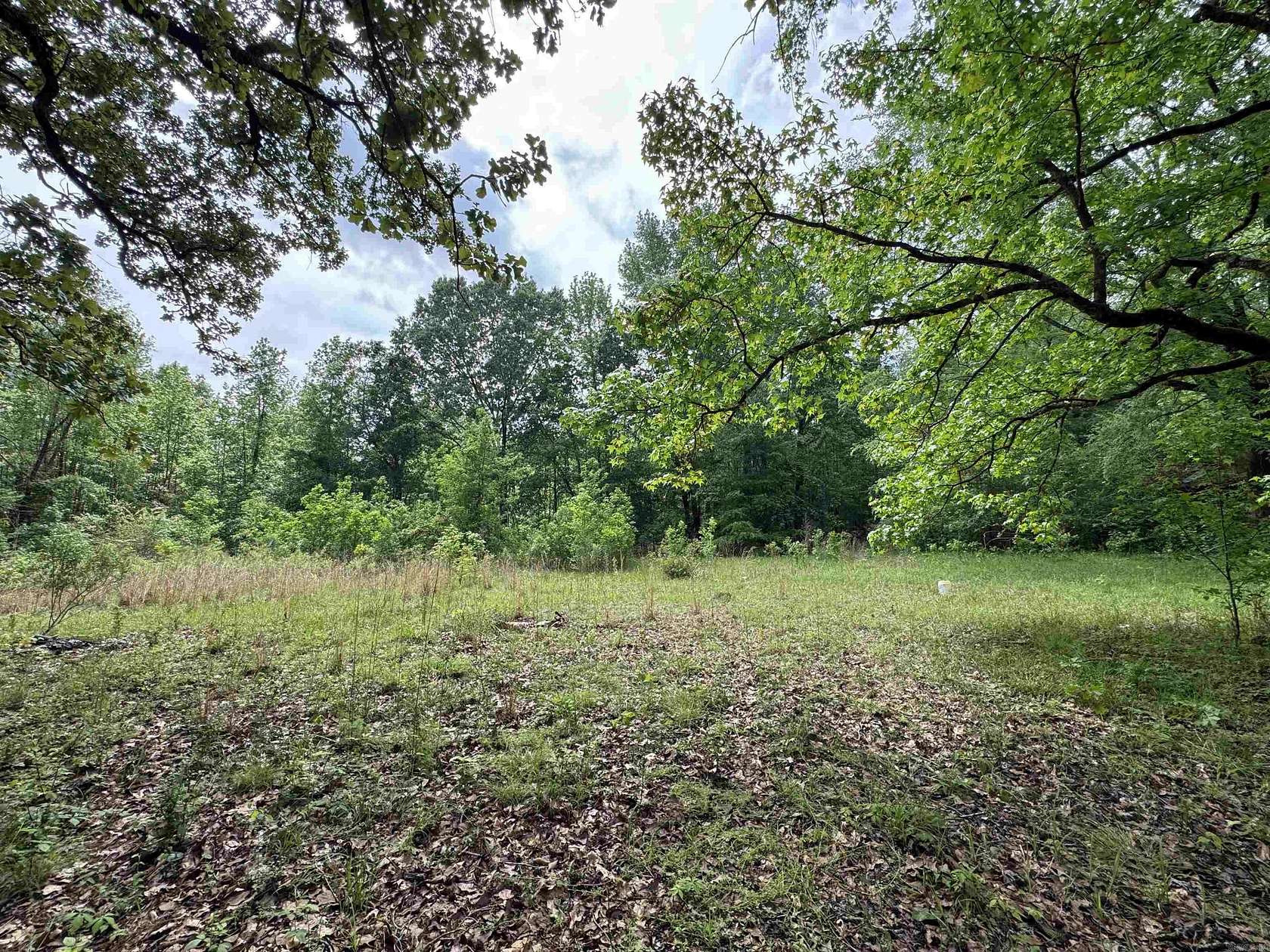 18.3 Acres of Recreational Land for Sale in Monticello, Arkansas
