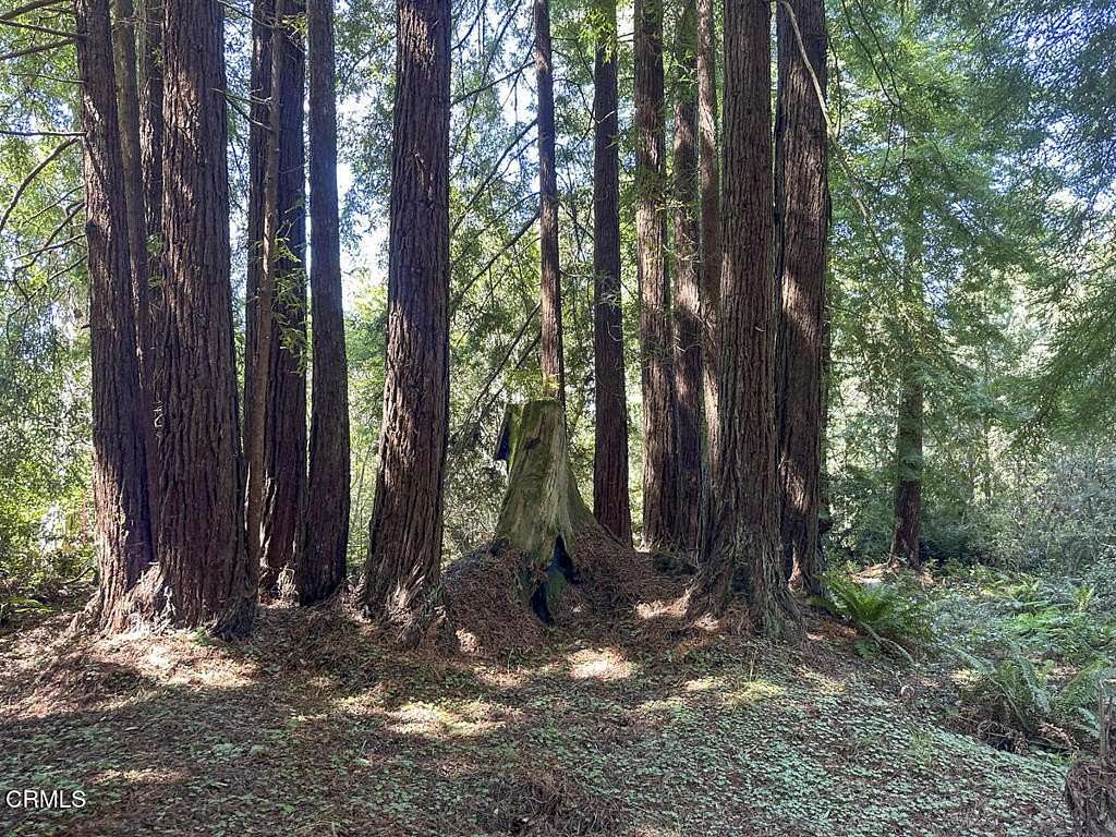 1 Acre of Residential Land for Sale in Fort Bragg, California