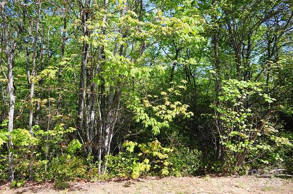 1.15 Acres of Land for Sale in Black Mountain, North Carolina