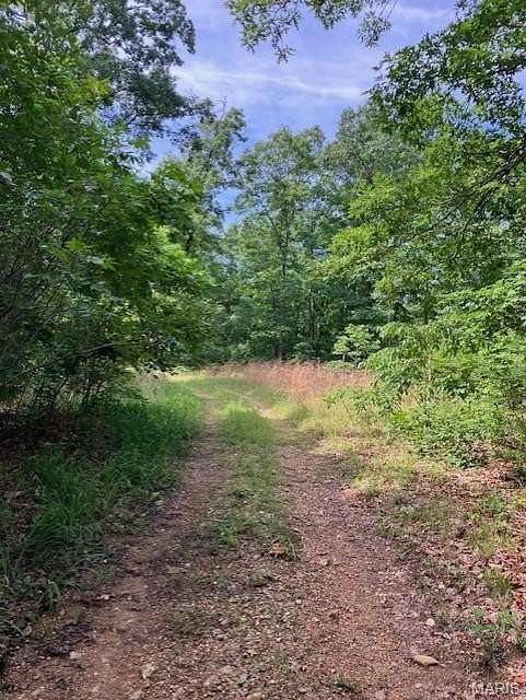 80 Acres of Recreational & Residential Land for Sale in Lesterville, Missouri