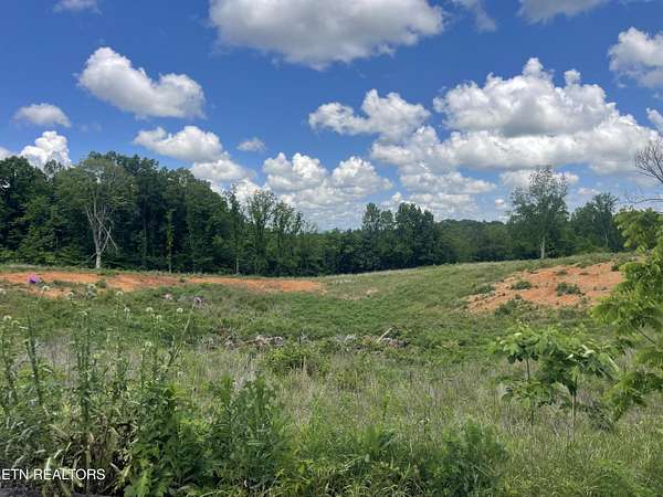 2.74 Acres of Residential Land for Sale in Strawberry Plains, Tennessee