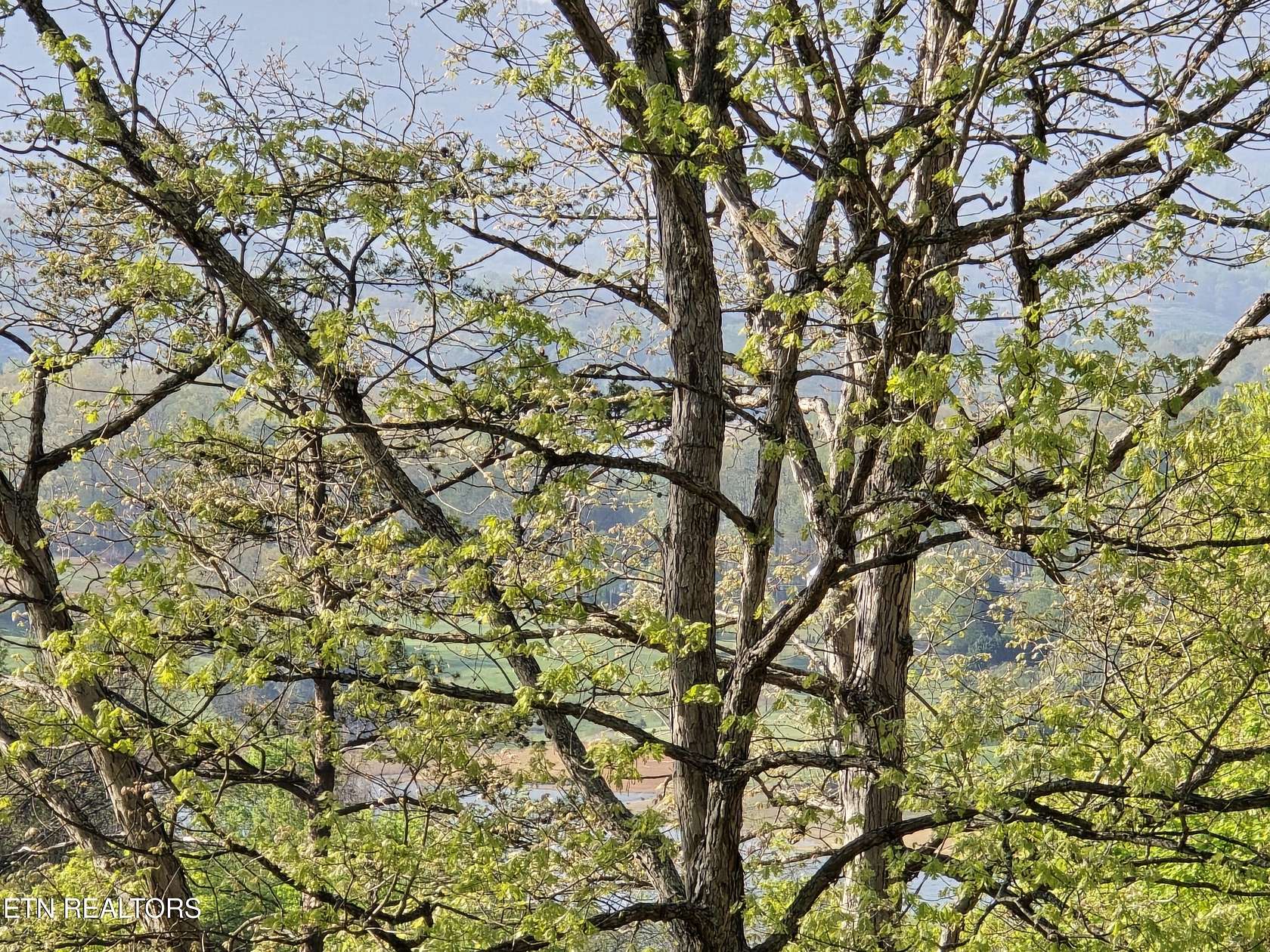 29.5 Acres of Land for Sale in Morristown, Tennessee