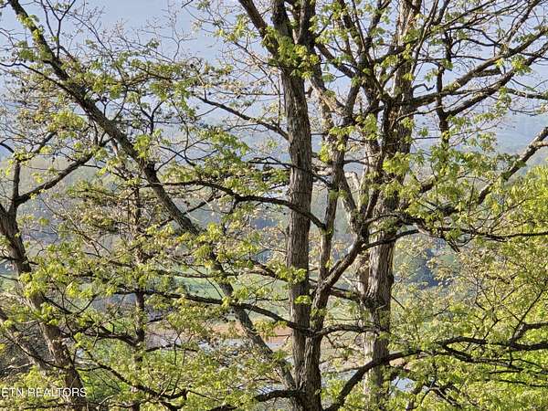 29.5 Acres of Land for Sale in Morristown, Tennessee