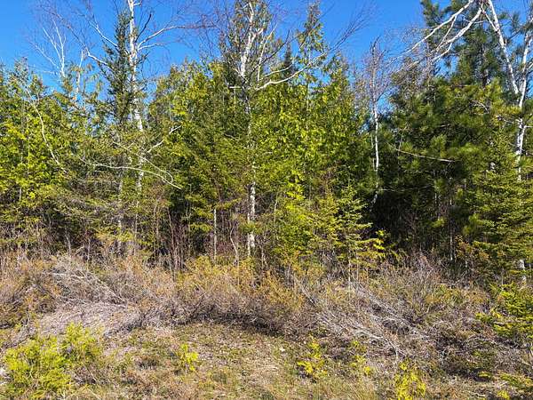 Residential Land for Sale in Presque Isle, Michigan