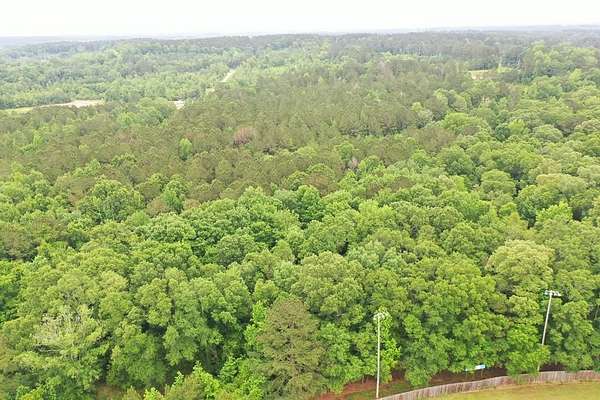 48 Acres of Recreational Land for Sale in Heidelberg, Mississippi