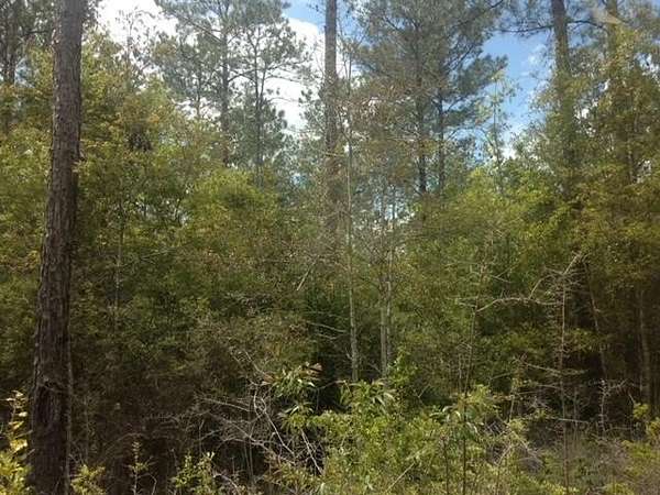 6.33 Acres of Residential Land for Sale in Waynesboro, Mississippi