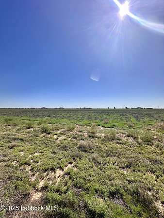 10 Acres of Land for Sale in Levelland, Texas