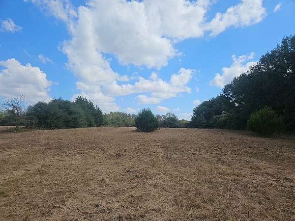 5.9 Acres of Agricultural Land for Sale in Chappell Hill, Texas
