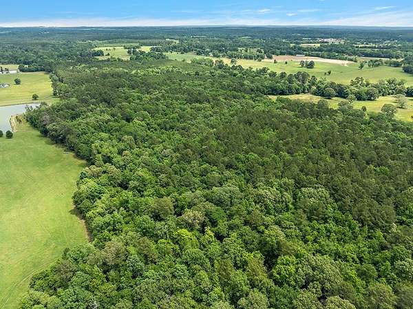59 Acres of Recreational Land for Sale in Alto, Texas