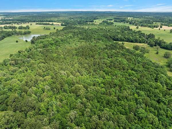 59 Acres of Recreational Land for Sale in Alto, Texas