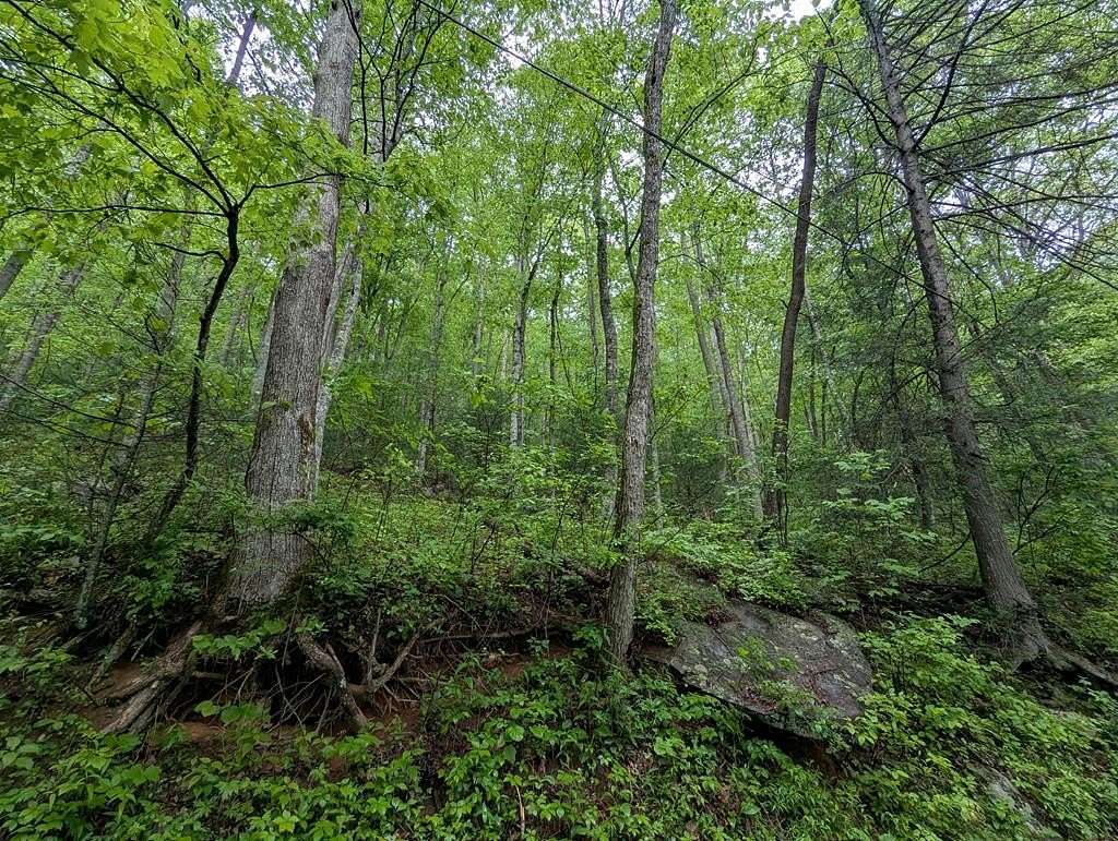 121 Acres of Land for Sale in Ellijay, Georgia