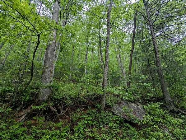 121 Acres of Land for Sale in Ellijay, Georgia
