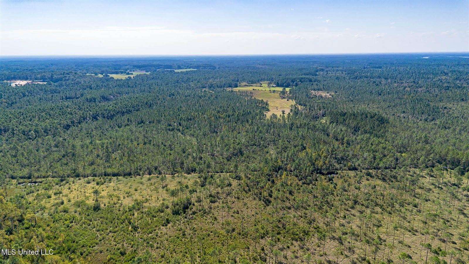 99 Acres of Recreational Land & Farm for Sale in Moss Point, Mississippi
