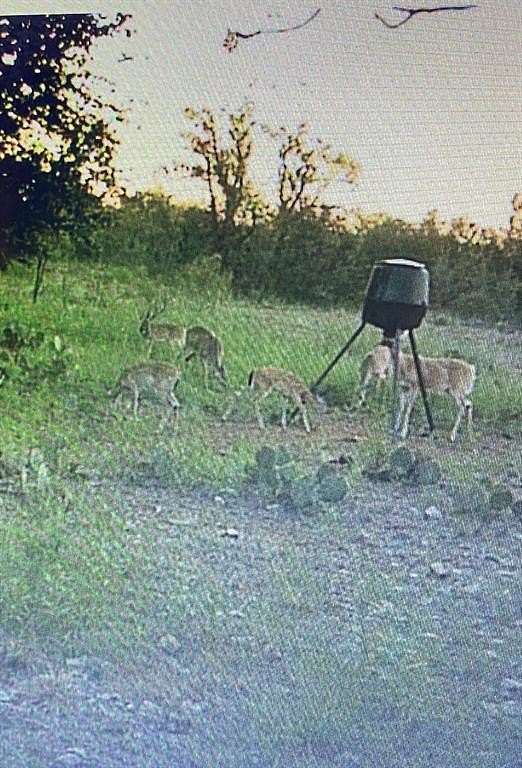 9.46 Acres of Land for Sale in Brookesmith, Texas