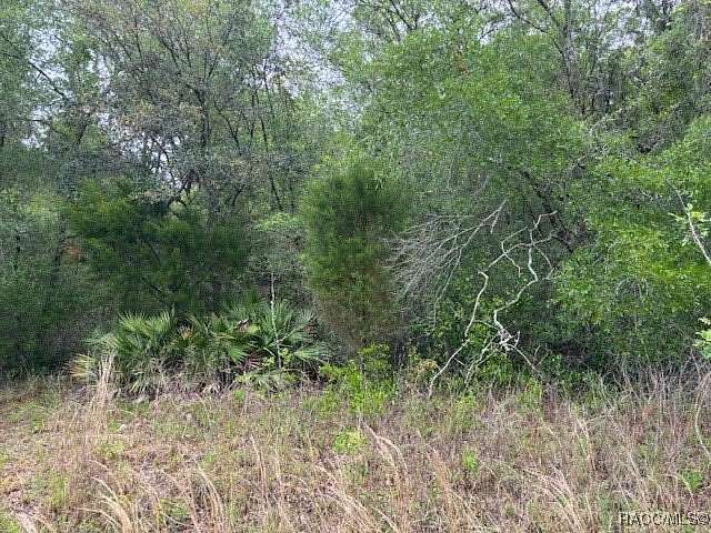 0.22 Acres of Residential Land for Sale in Inverness, Florida
