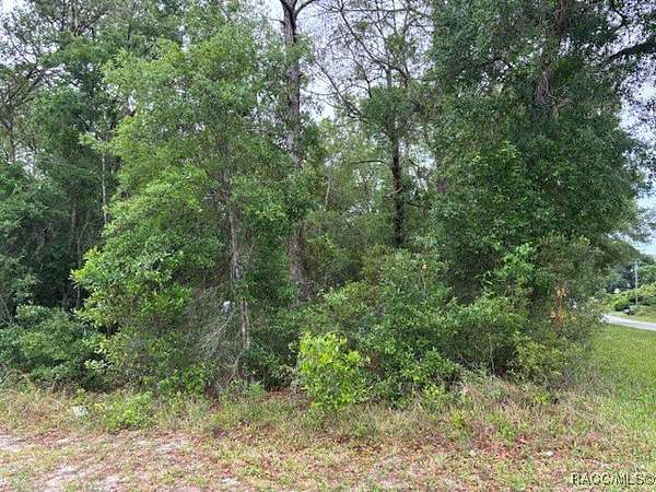 0.22 Acres of Residential Land for Sale in Inverness, Florida