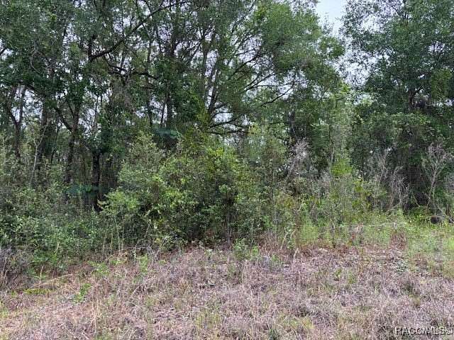 0.22 Acres of Residential Land for Sale in Inverness, Florida