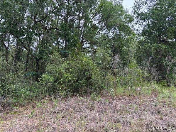 0.22 Acres of Residential Land for Sale in Inverness, Florida