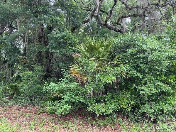 0.46 Acres of Residential Land for Sale in Crystal River, Florida