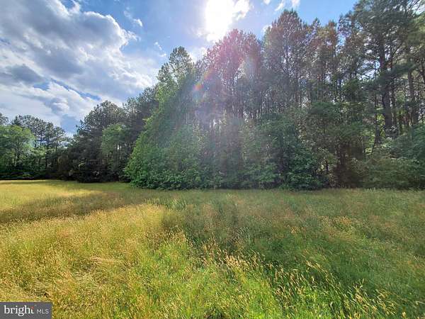 1 Acre of Residential Land for Sale in Milton, Delaware