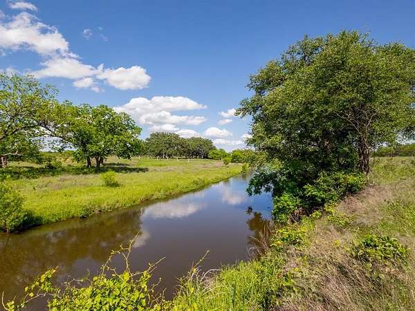 84 Acres of Agricultural Land for Sale in Coleman, Texas