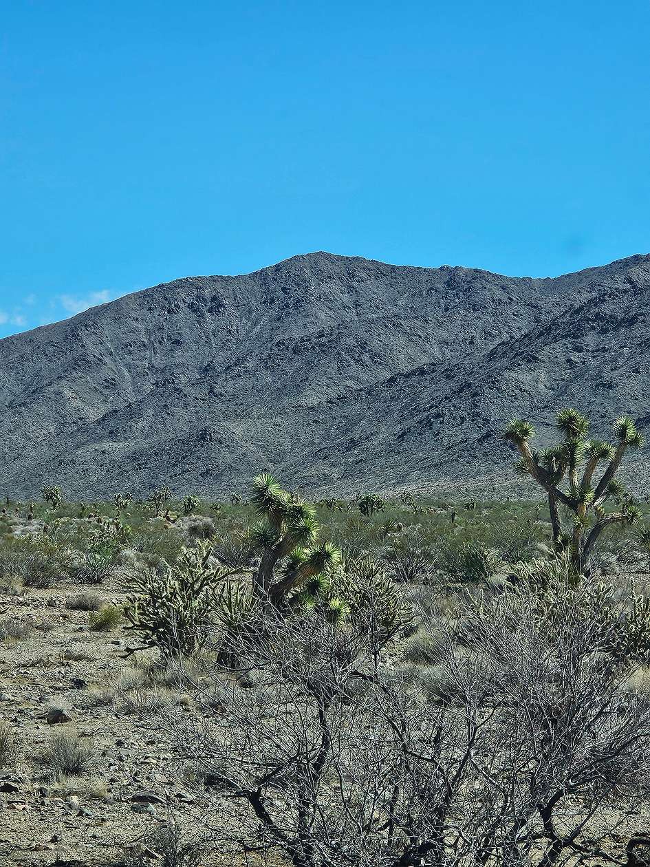 10 Acres of Improved Recreational Land for Sale in Meadview, Arizona