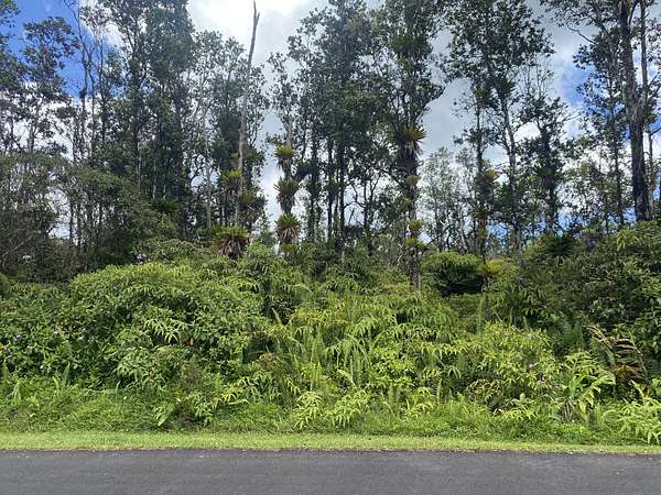 1 Acre of Residential Land for Sale in Pahoa, Hawaii