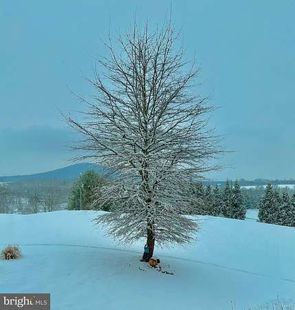 4.75 Acres of Residential Land with Home for Sale in Quicksburg, Virginia