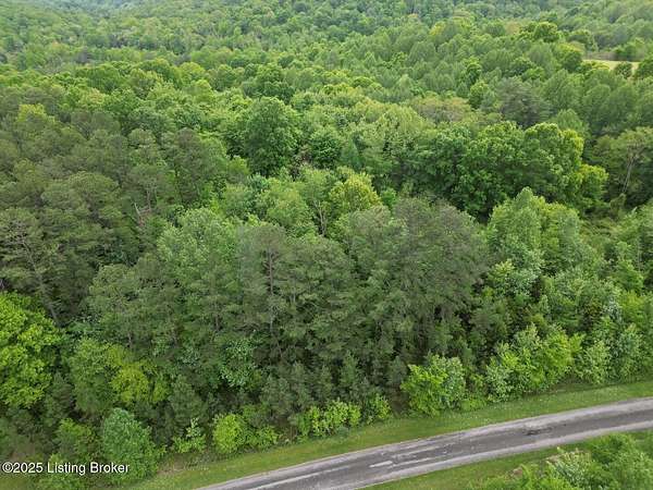 30.5 Acres of Recreational Land for Sale in Caneyville, Kentucky