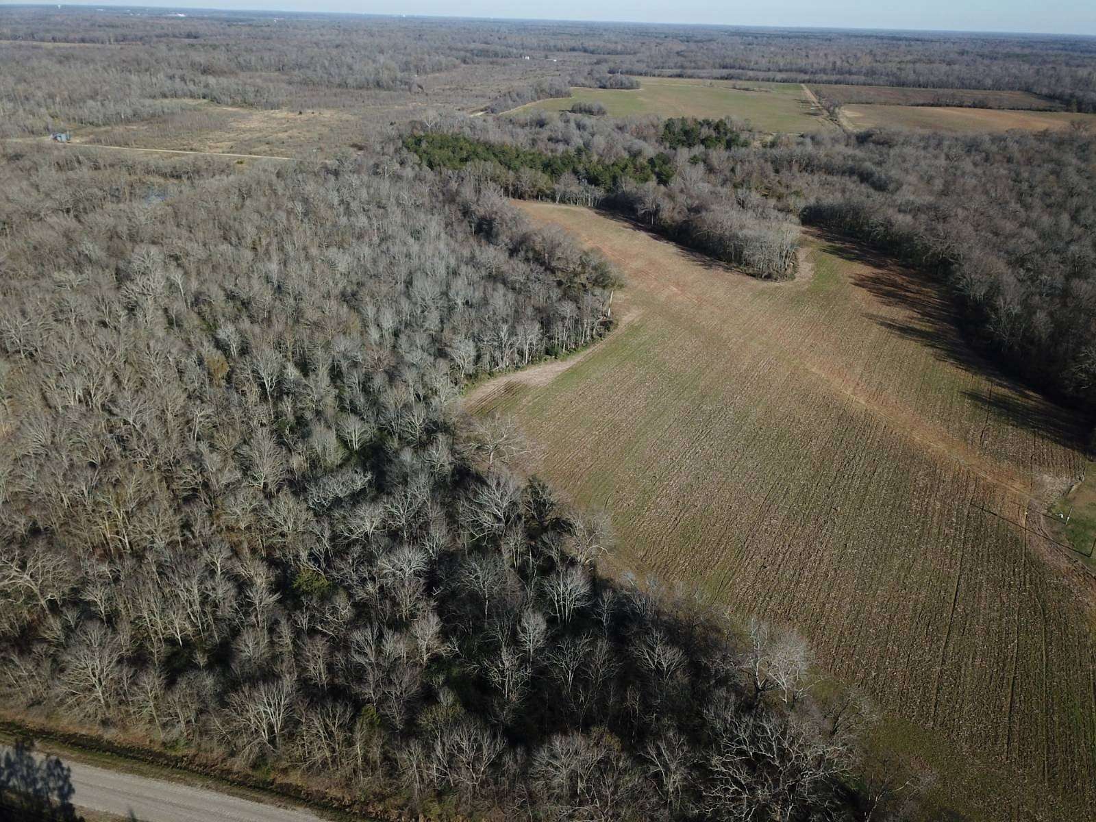 36 Acres of Agricultural Land for Sale in Rayville, Louisiana