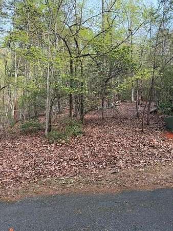 3.1 Acres of Residential Land for Sale in Big Canoe, Georgia
