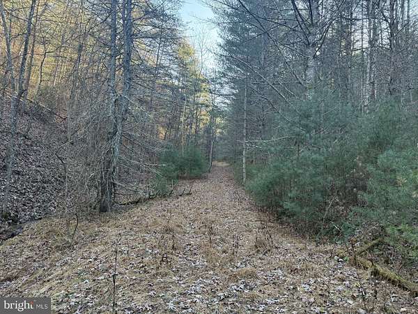 21 Acres of Recreational Land for Sale in Sugar Grove, West Virginia