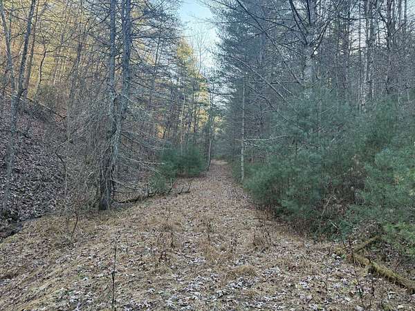 21.7 Acres of Recreational Land & Farm for Sale in Sugar Grove, West Virginia