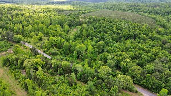 40 Acres of Land for Sale in Shirley, Arkansas