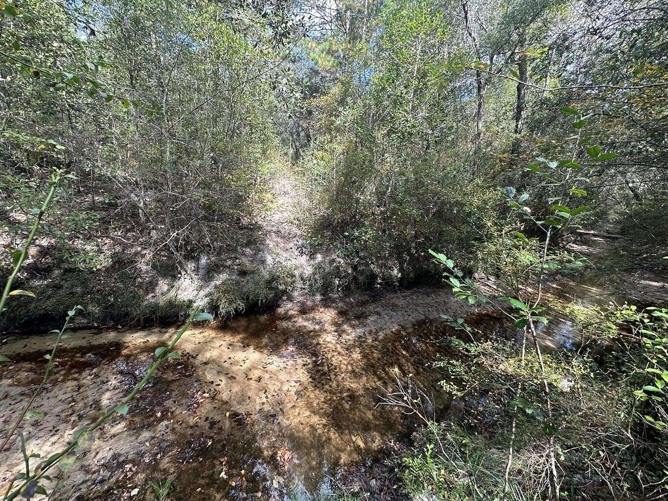 39.6 Acres of Recreational Land & Farm for Sale in Crestview, Florida