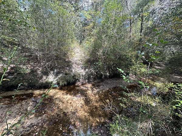 39.6 Acres of Recreational Land & Farm for Sale in Crestview, Florida