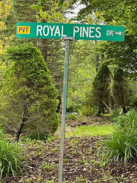 0.8 Acres of Residential Land for Sale in Pineola, North Carolina