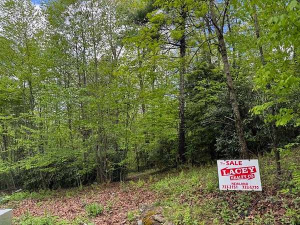 0.75 Acres of Residential Land for Sale in Pineola, North Carolina