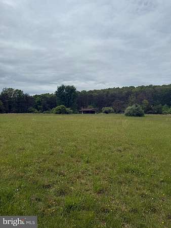 42 Acres of Land for Sale in Hedgesville, West Virginia