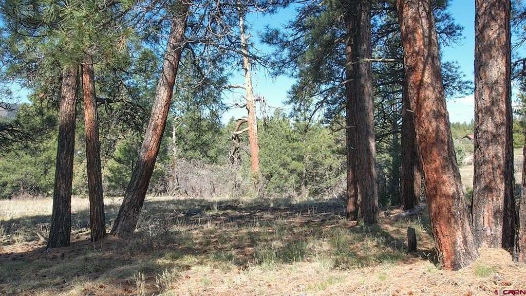 5 Acres of Residential Land for Sale in Pagosa Springs, Colorado
